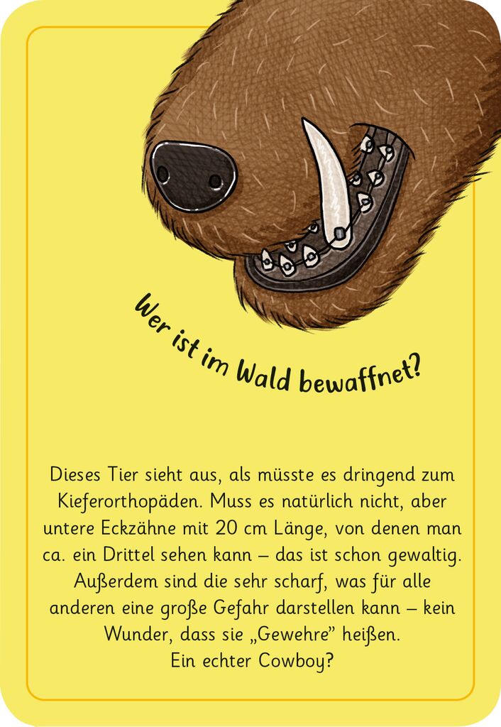 Moses 50 Karten / Pocket Quiz Moses Verlag Expedition Natur - 50 wundersame Tierrätsel: Wald