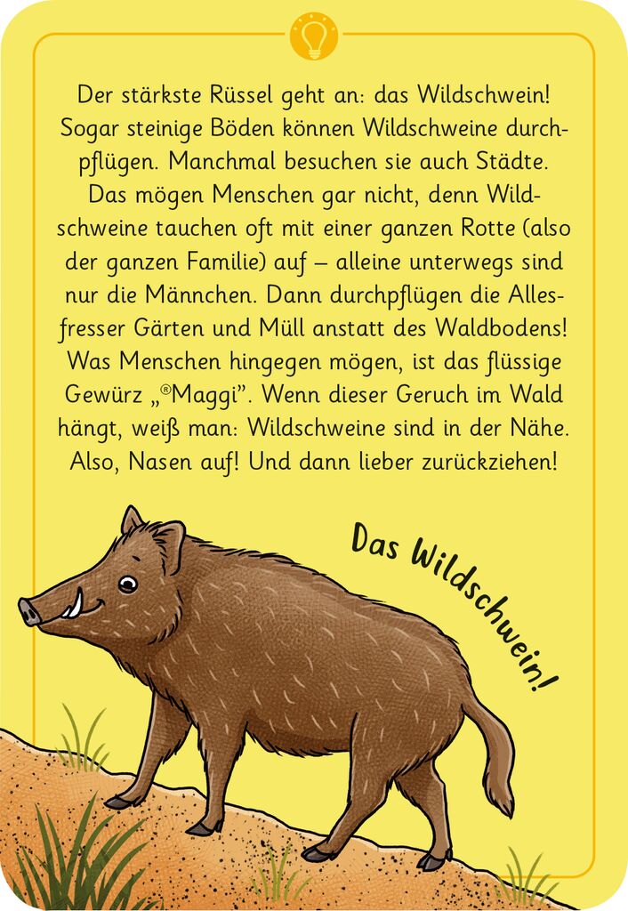 Moses 50 Karten / Pocket Quiz Moses Verlag Expedition Natur - 50 wundersame Tierrätsel: Wald