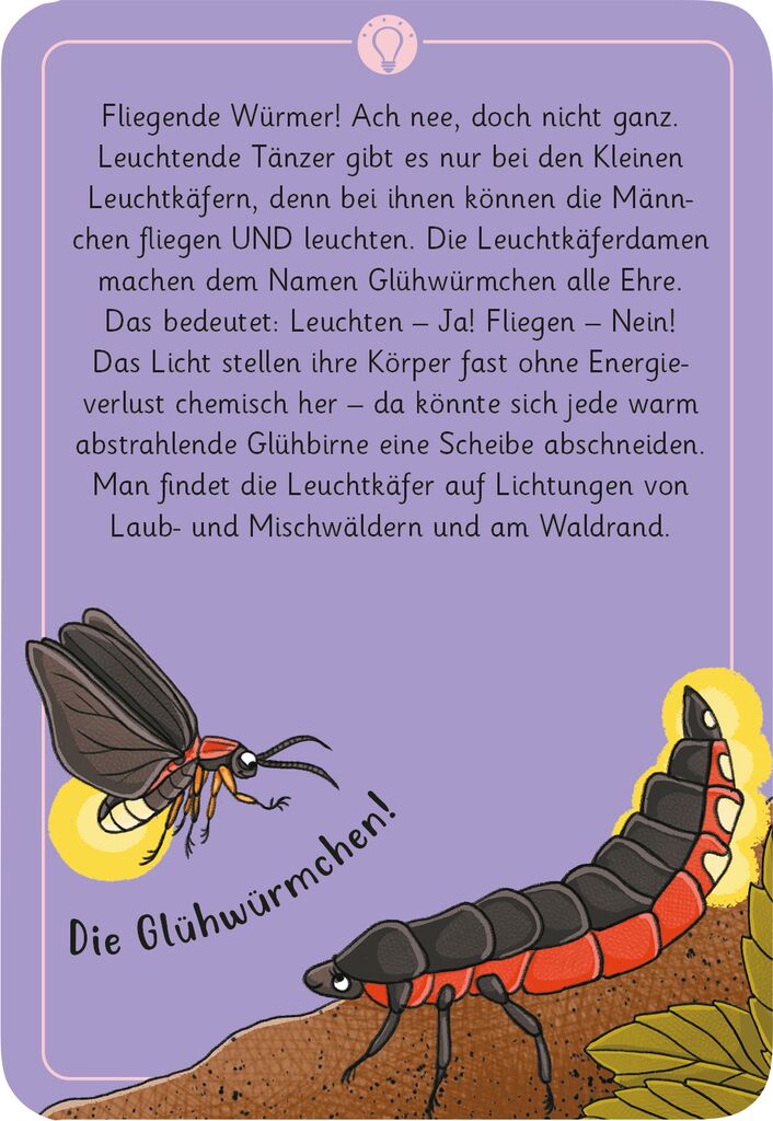 Moses 50 Karten / Pocket Quiz Moses Verlag Expedition Natur - 50 wundersame Tierrätsel: Wald