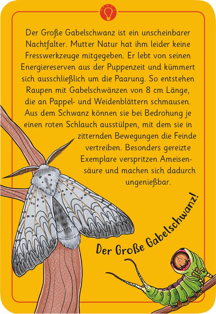Moses 50 Karten / Pocket Quiz Moses Verlag Expedition Natur - 50 wundersame Tierrätsel: Insekten