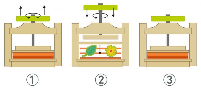 Buch Moses Verlag Expedition Natur Blatt-und Blütenpresse