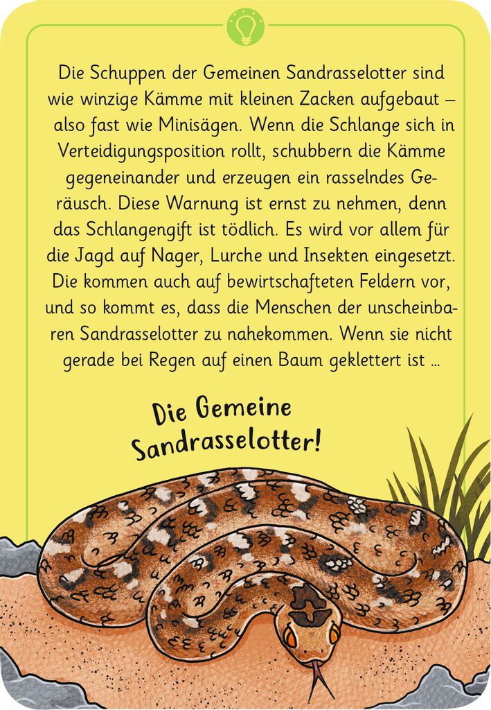 Moses 50 Karten / Pocket Quiz Moses Verlag Expedition Natur - 50 wundersame Tierrätsel: Gefährliche Tiere