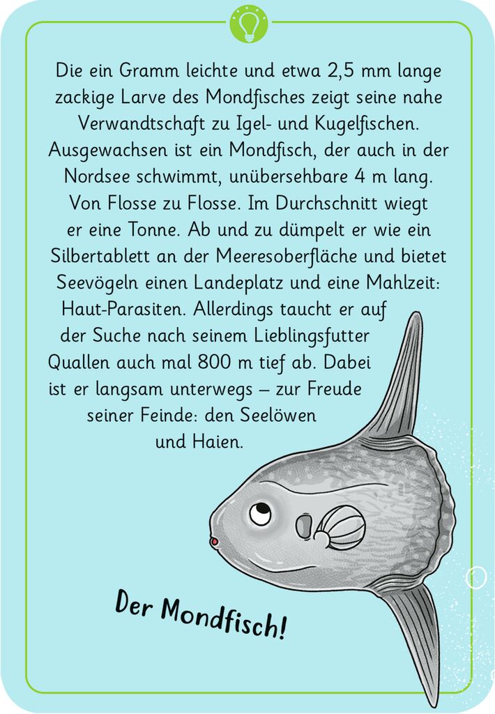 Moses 50 Karten / Pocket Quiz Moses Verlag Expedition Natur - 50 wundersame Tierrätsel: Meer und Strand