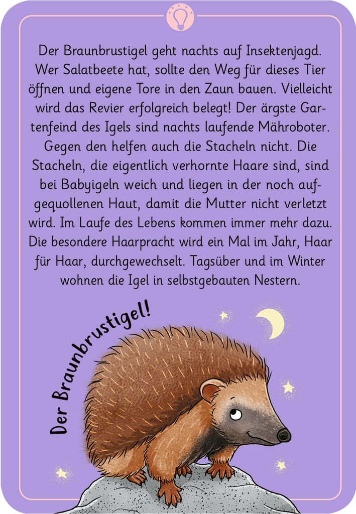 Moses 50 Karten / Pocket Quiz Moses Verlag Expedition Natur - 50 wundersame Tierrätsel: Tiere der Nacht