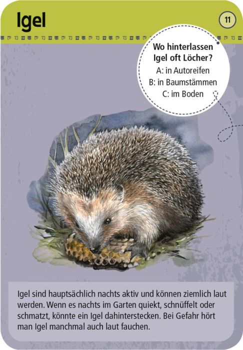 Moses 50 Karten / Pocket Quiz Moses Verlag Expedition Natur - 50 Tiere der Nacht