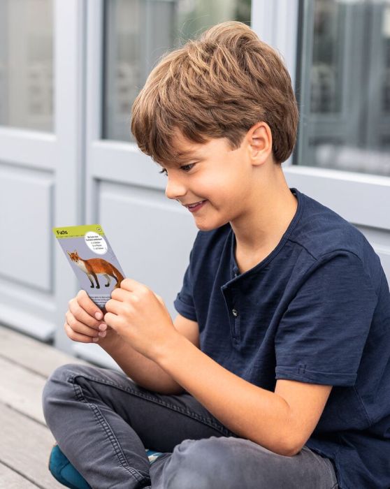 Moses 50 Karten / Pocket Quiz Moses Verlag Expedition Natur - 50 Tiere der Nacht