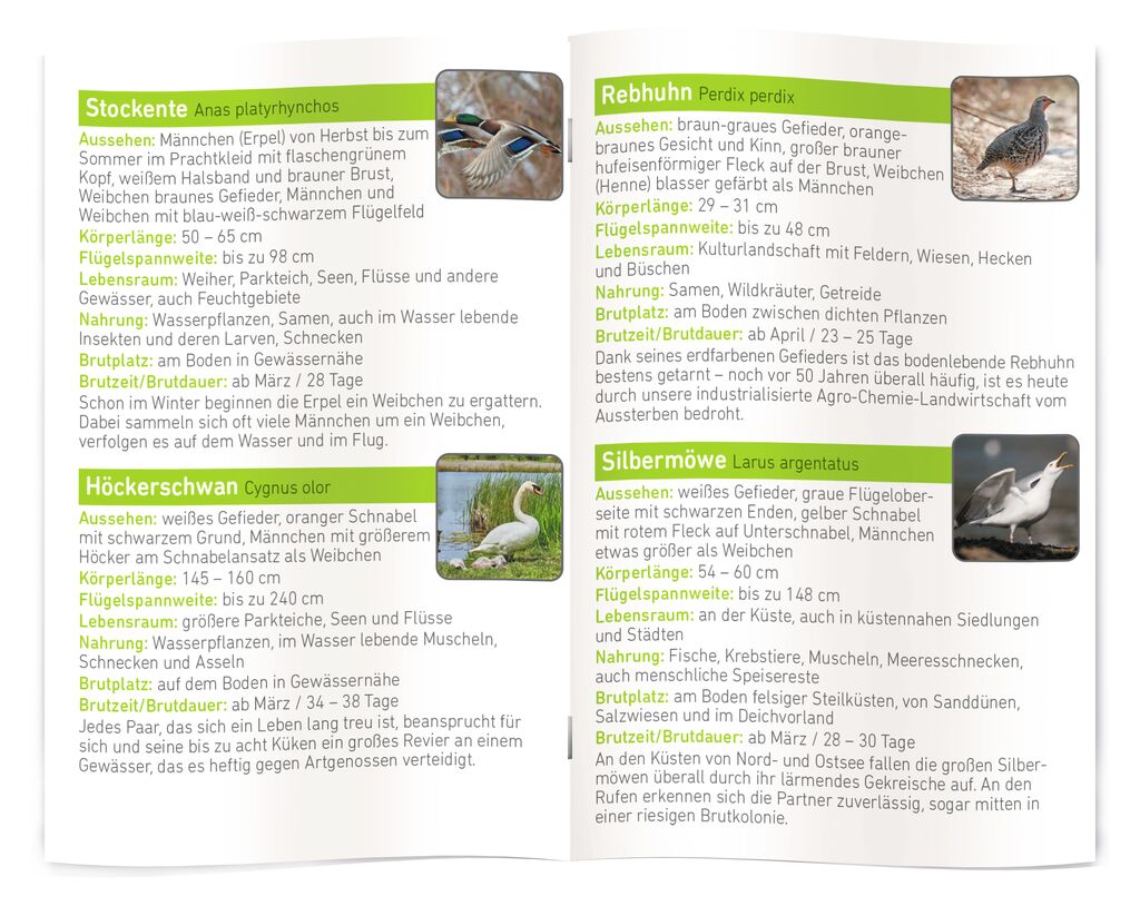 Experiment Moses Verlag Diashow EXTRA - Unsere Vögel