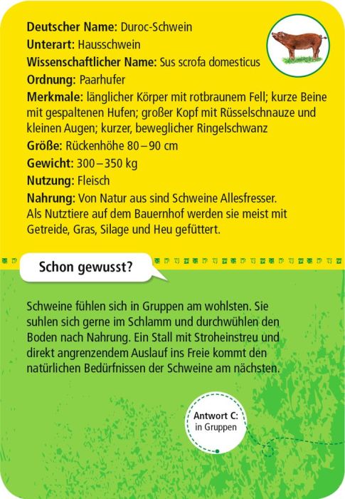 Moses 50 Karten / Pocket Quiz Moses Verlag 50 Tiere auf dem Bauernhof