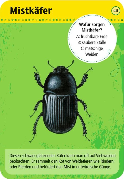 Moses 50 Karten / Pocket Quiz Moses Verlag 50 Tiere auf dem Bauernhof