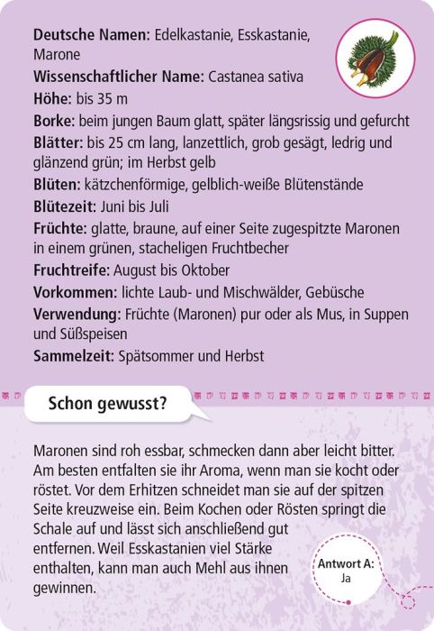 Expedition Natur 50 essbare Wildpflanzen