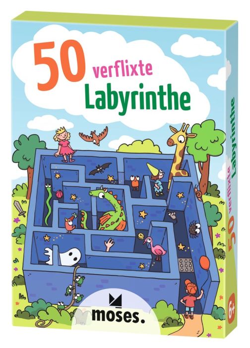 Moses 50 Karten / Pocket Quiz Moses Verlag 50 verflixte Labyrinthe