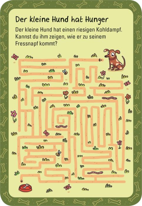 Moses 50 Karten / Pocket Quiz Moses Verlag 50 verflixte Labyrinthe