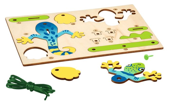 Experiment Moses Verlag PhänoMINT Klettergecko