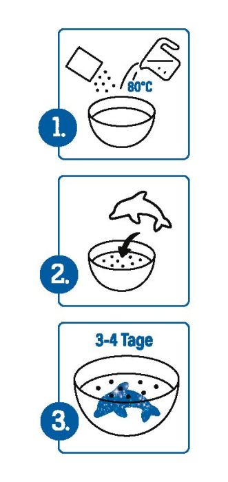 Spielzeug für Draußen Moses Verlag PhänoMINT Funkelnde Meerestiere züchten