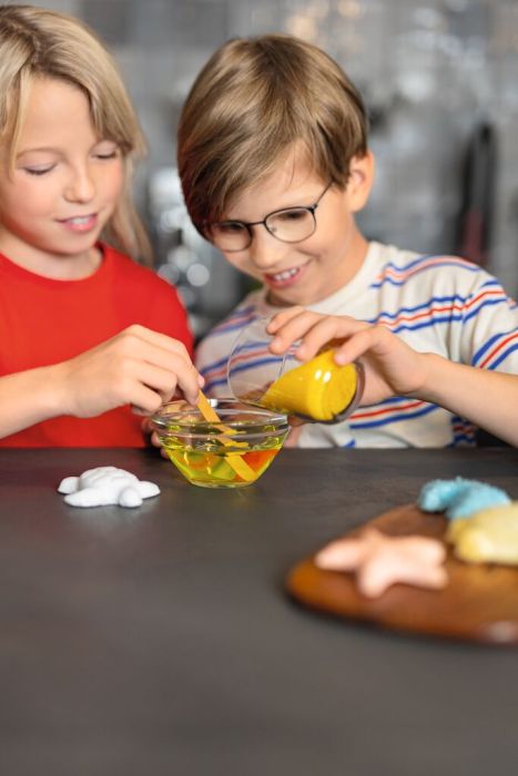 Spielzeug für Draußen Moses Verlag PhänoMINT Funkelnde Meerestiere züchten