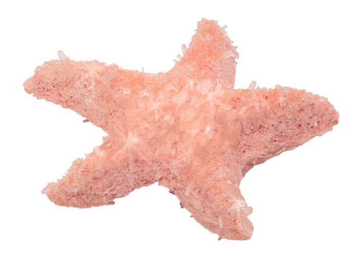 Spielzeug für Draußen Moses Verlag PhänoMINT Funkelnde Meerestiere züchten