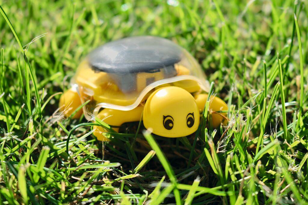 Experiment Moses Verlag PhänoMINT Solar-Schildkröte