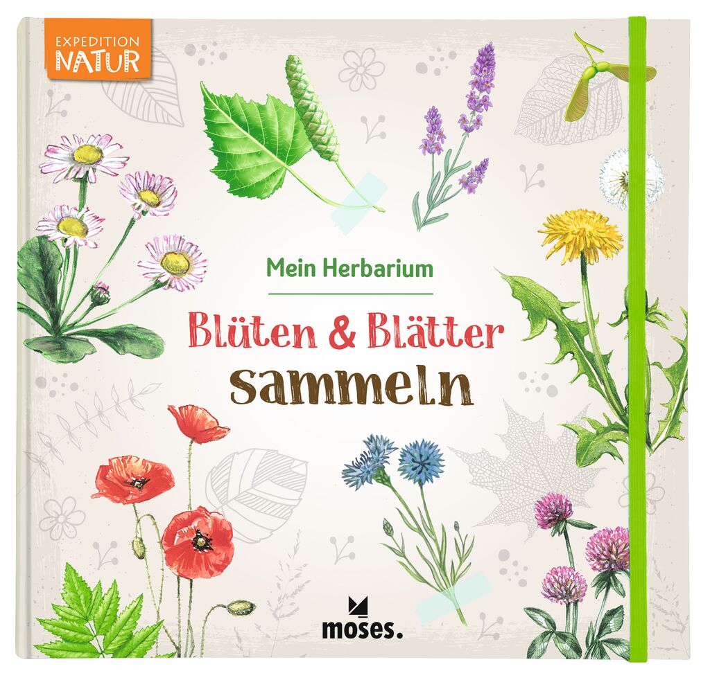 Buch Moses Verlag Mein Herbarium: Blüten & Blätter sammeln