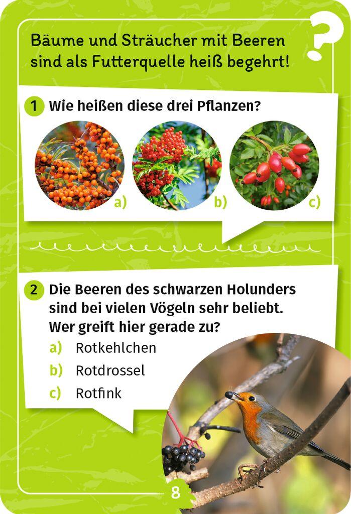 Moses 50 Karten / Pocket Quiz Moses Verlag Mein Vogel-Forscherquiz