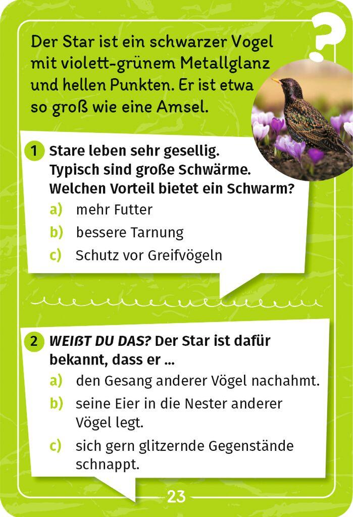 Moses 50 Karten / Pocket Quiz Moses Verlag Mein Vogel-Forscherquiz