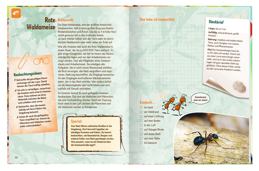 Sachbuch Moses Verlag Die Becherlupe - Die Welt der kleinen Tiere ganz groß