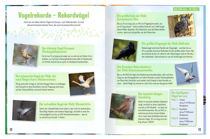 Sachbuch Moses Verlag Expedition Natur - Erforsche die Vögel - Ihr Leben rund ums Jahr