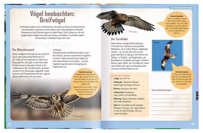 Sachbuch Moses Verlag Expedition Natur - Erforsche die Vögel - Ihr Leben rund ums Jahr
