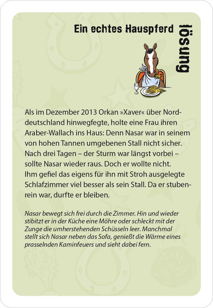 Moses 50 Karten / Pocket Quiz Moses Verlag black stories junior Pferdeglück
