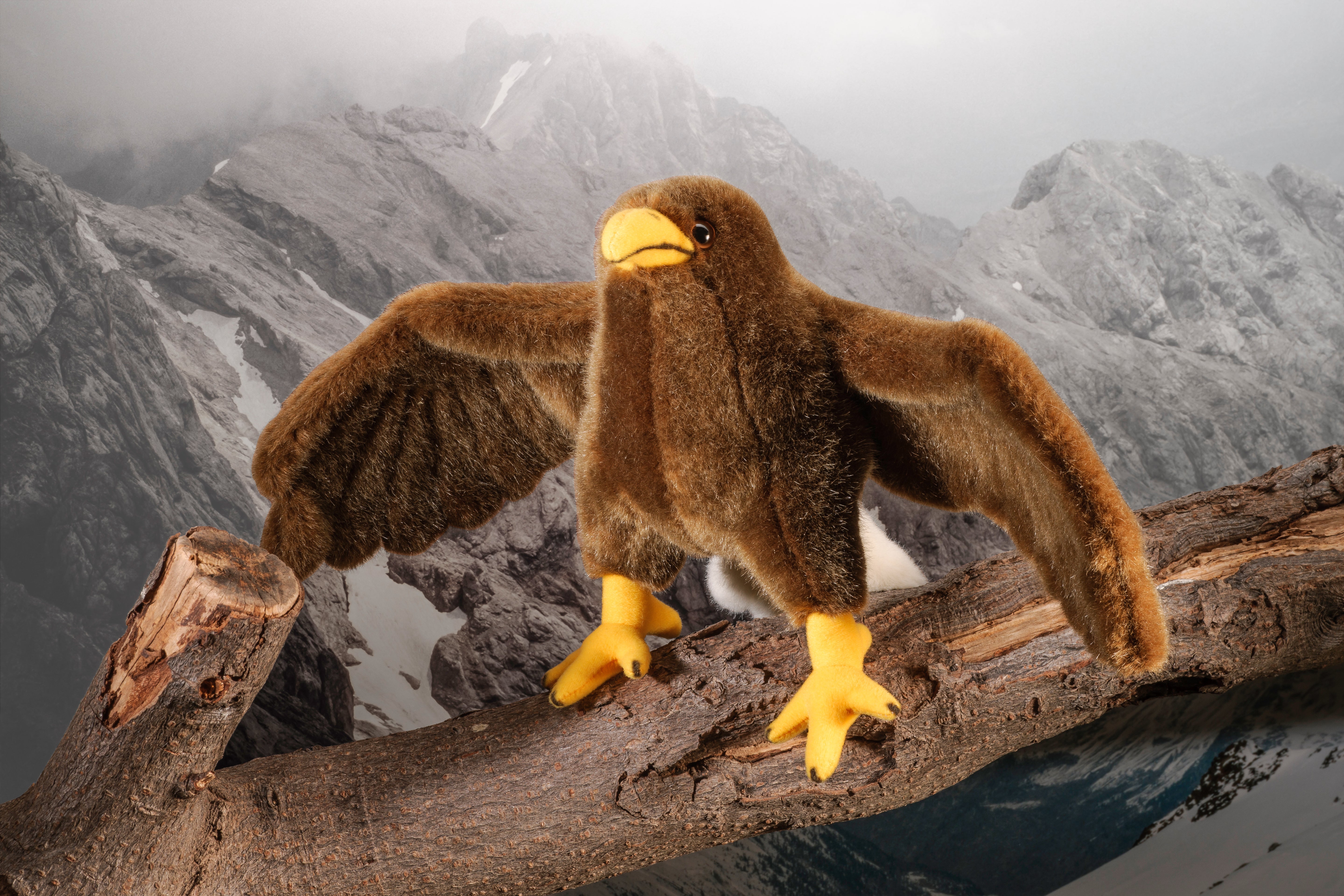 Kleiner Adler "Lilla örn"