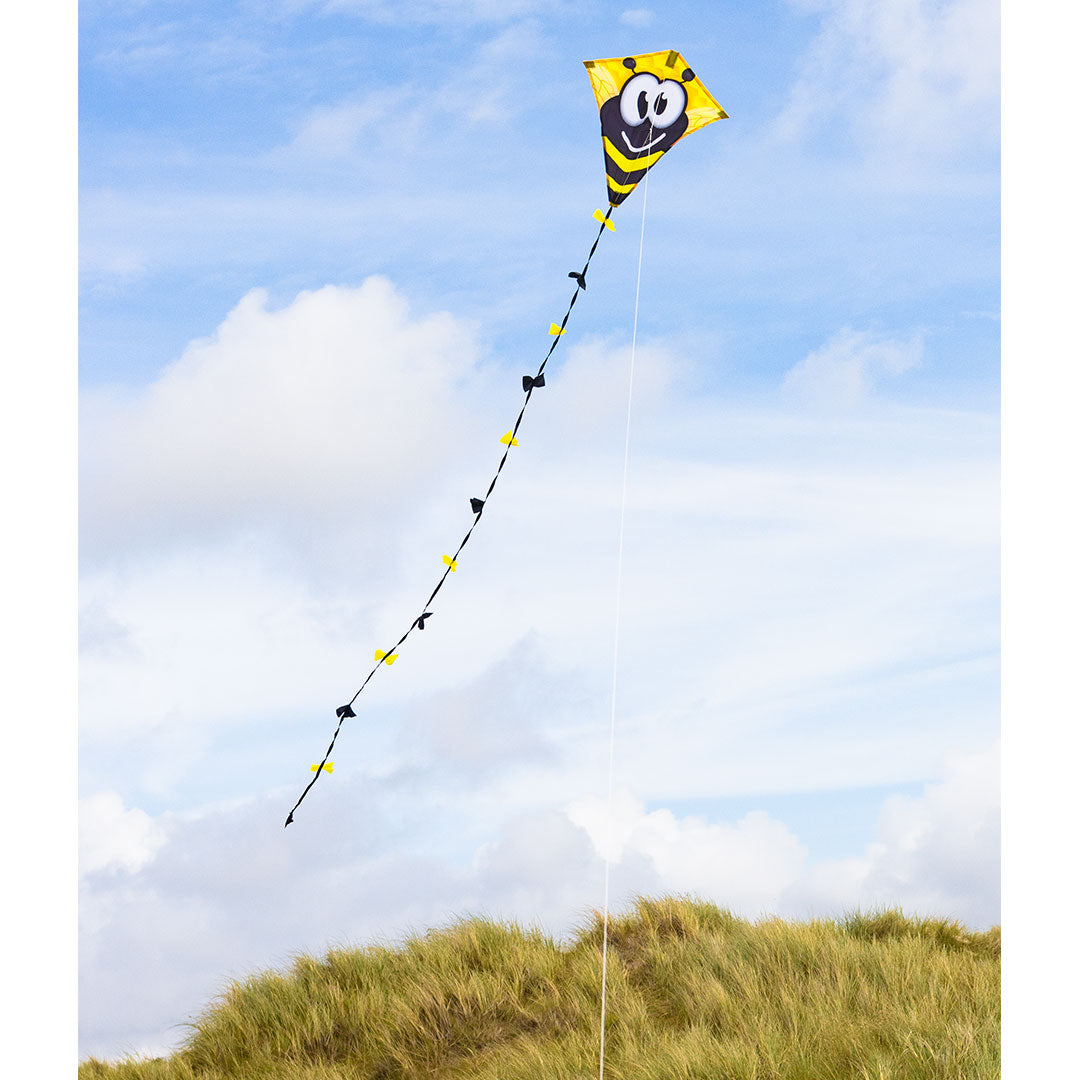 Drachen Invento Ecoline Eddy Bumble Bee 50 cm