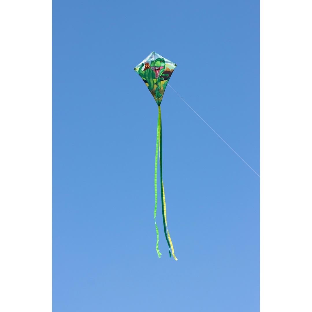 Drachen Invento Ecoline Eddy T-Rex 70 cm