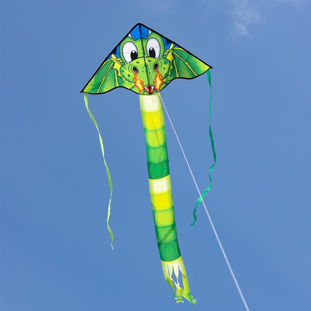 Drachen Invento Ecoline Simple Flyer Dragon 42 x 85 cm