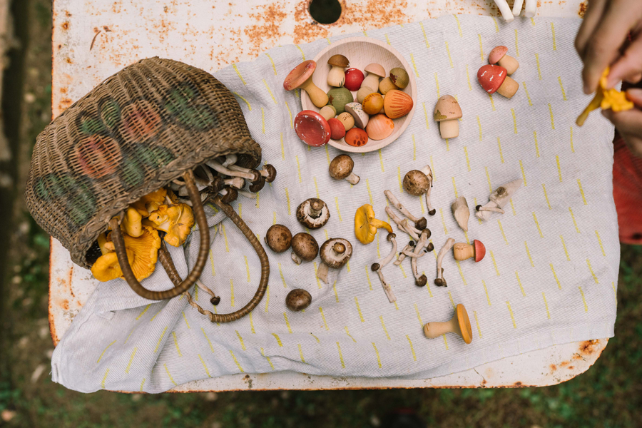 Open-ended Play Grapat Mushroom Grove