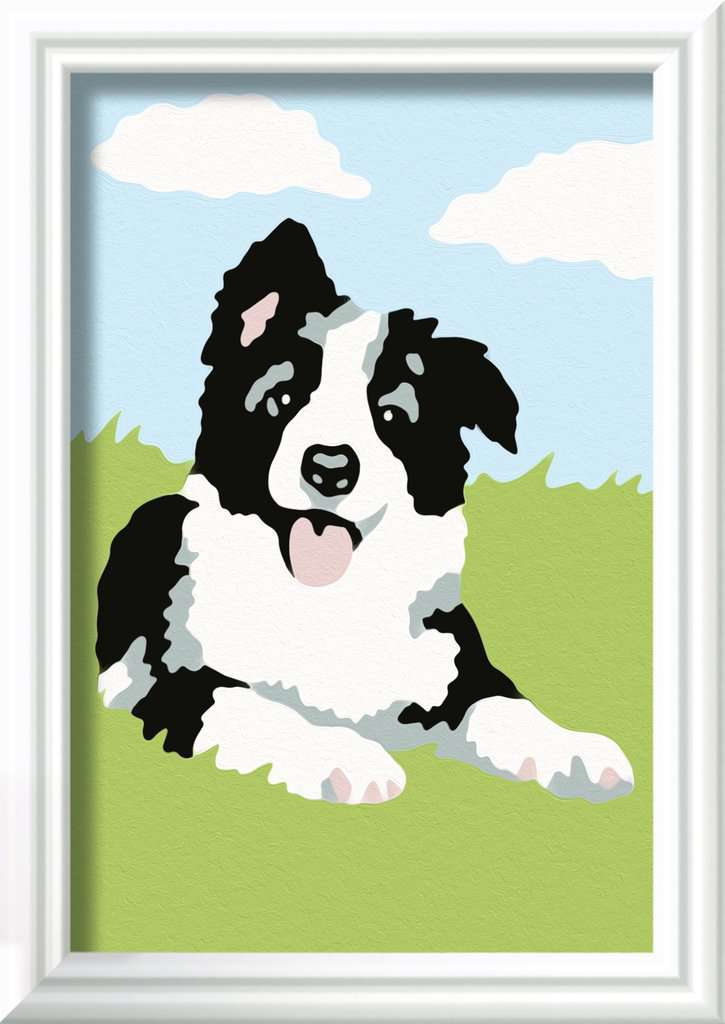 Malen Ravensburger CREART: Border Collie Welpe