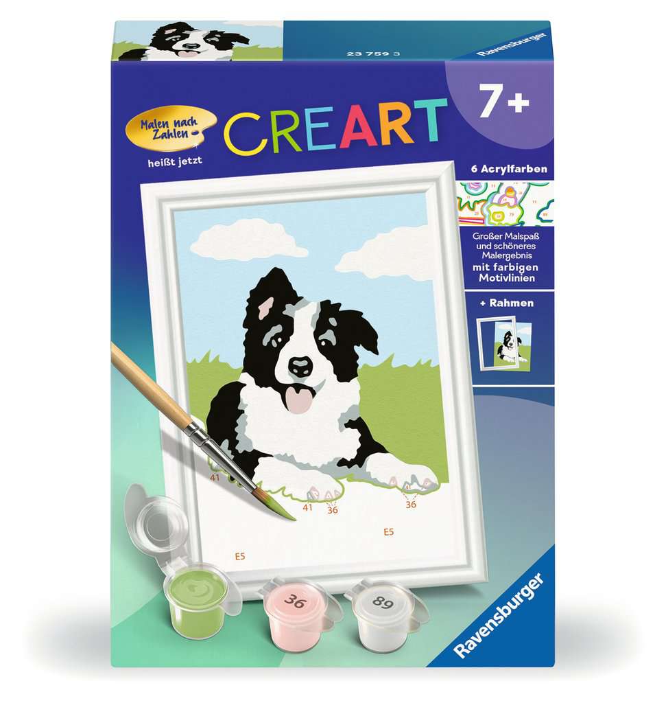 Malen Ravensburger CREART: Border Collie Welpe