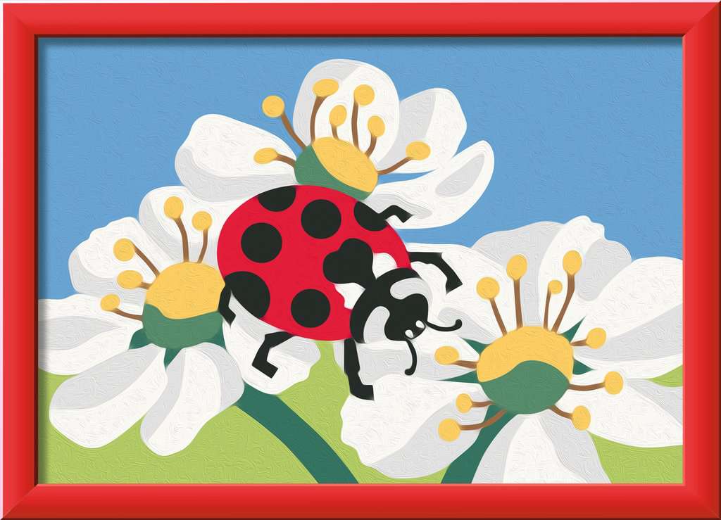CREART: Marienkäfer
