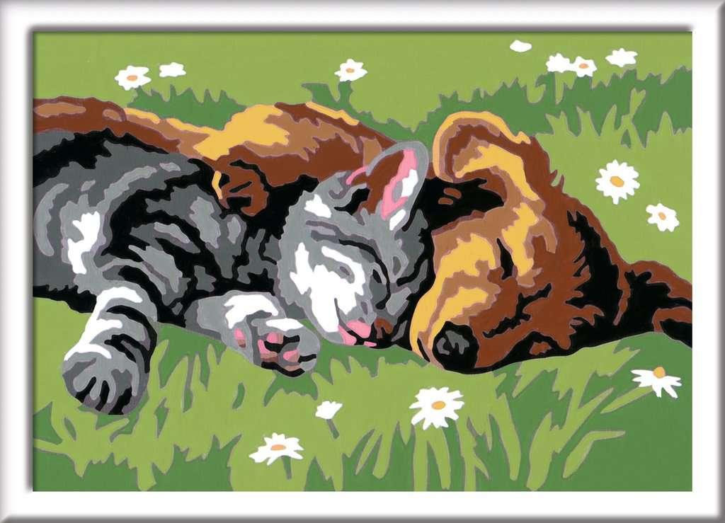 Malen Ravensburger CREART: Tiefer Schlaf