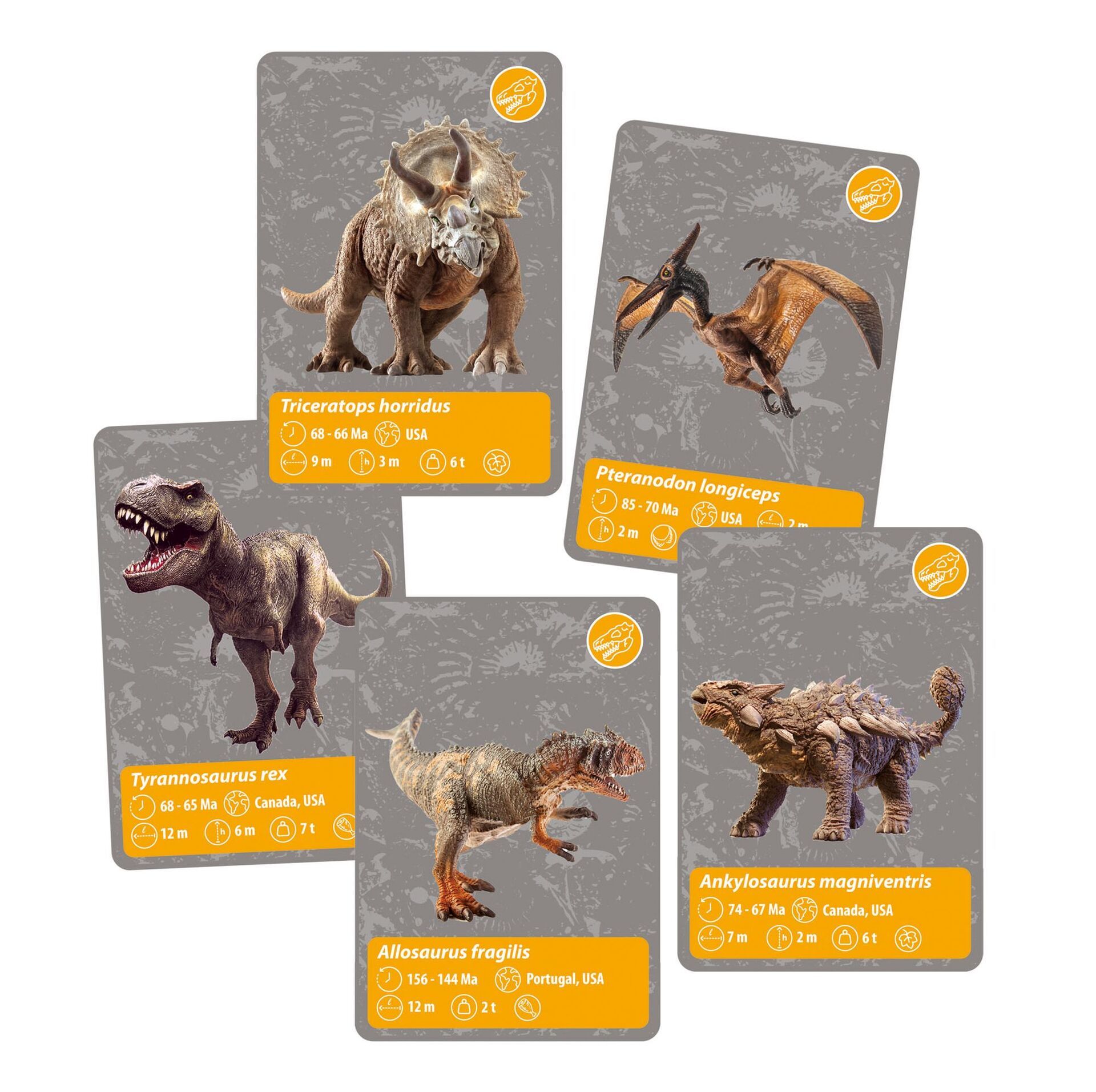 Experiment Clementoni Entdeckungs-Set „Leben auf unserer Erde