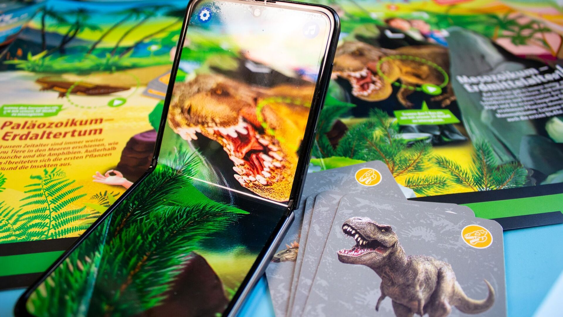 Experiment Clementoni Entdeckungs-Set „Leben auf unserer Erde