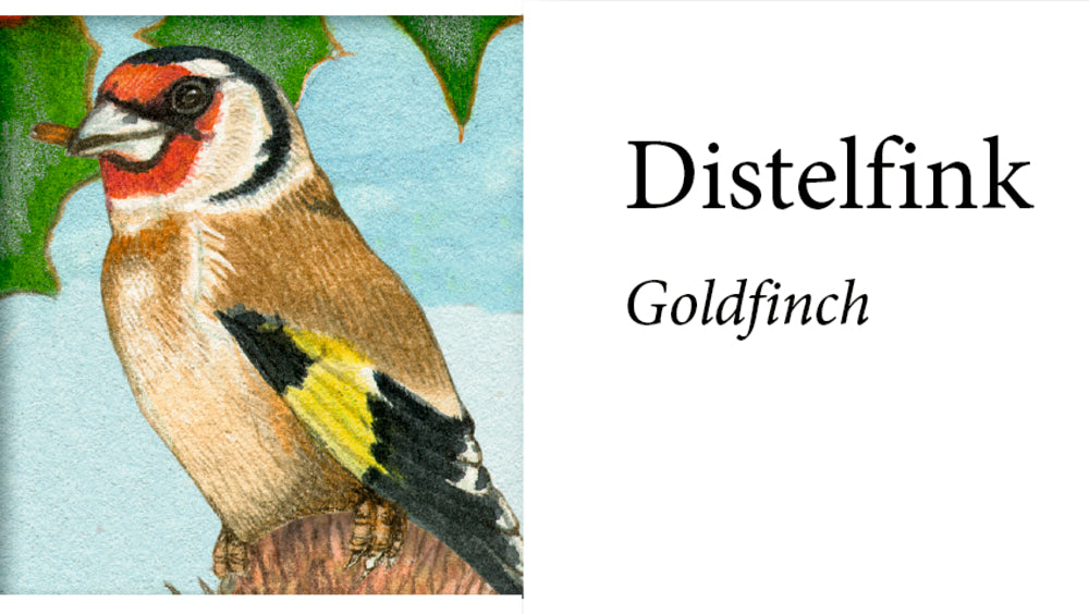 Adventskalender Coppenrath Verlag Unsere Vögel im Winter, Sound-Adventskalender