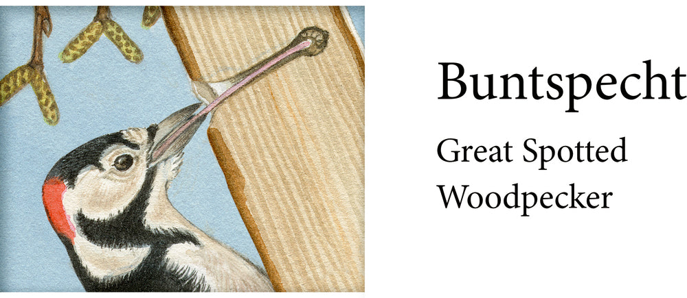 Adventskalender Coppenrath Verlag Unsere Vögel im Winter, Sound-Adventskalender