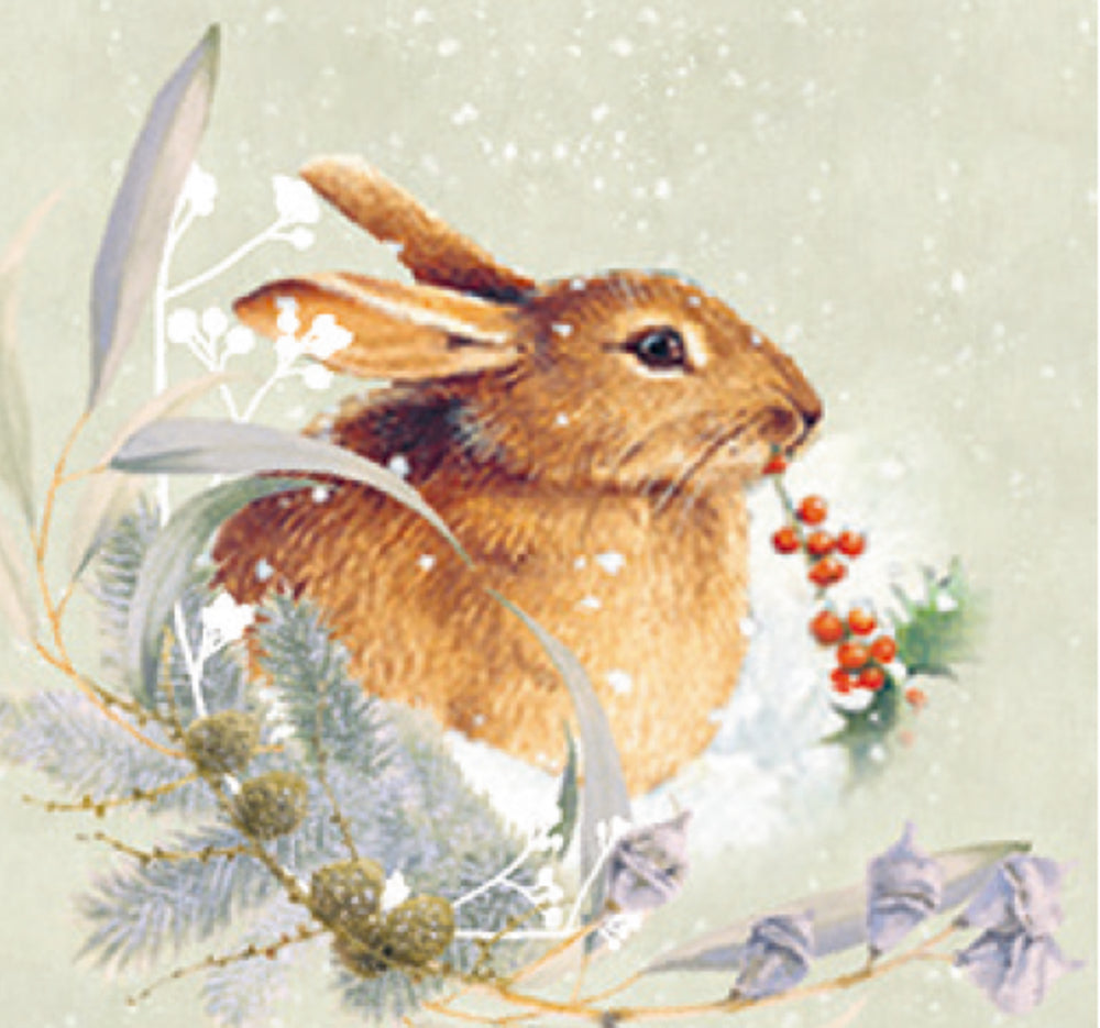 Adventskalender Coppenrath Verlag Marjoleins Rotkehlchen, A4 Wand-Adventskalender (Bastin)