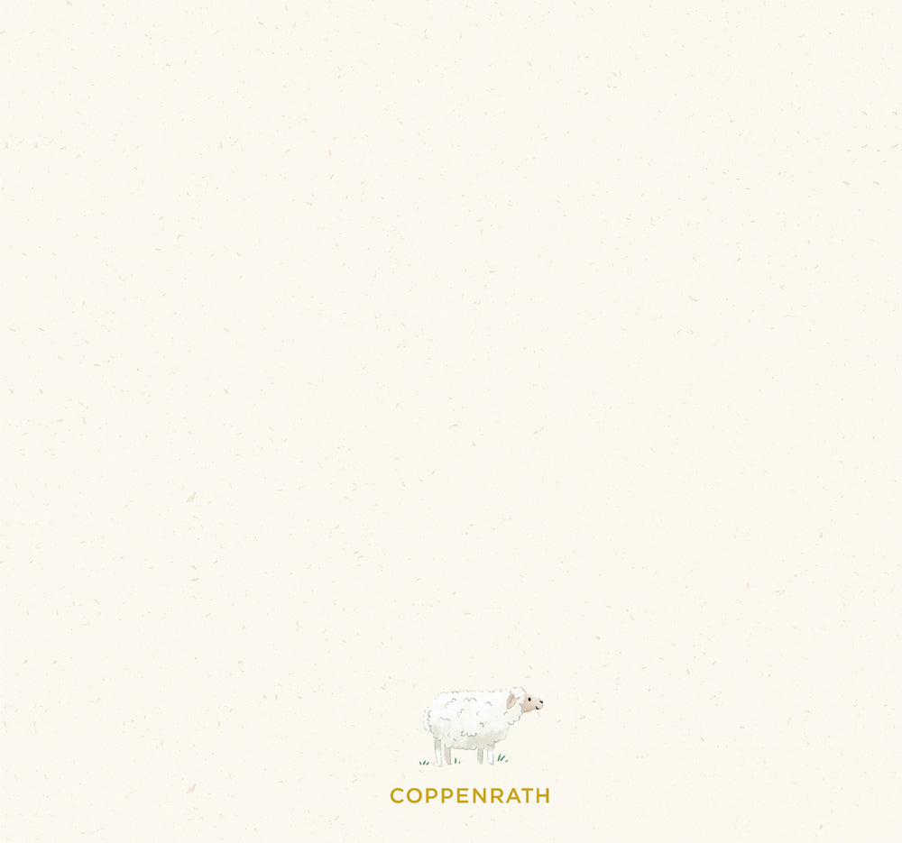 Eintragbuch Coppenrath Verlag Eintragalbum - Meine Taufe (Arche Noah)