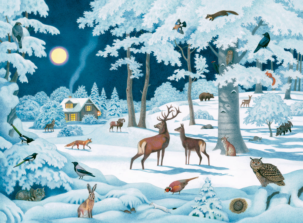 Adventskalender Coppenrath Verlag Wintertiere bei Nacht, Wand-Adventskalender