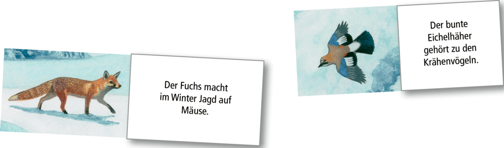 Adventskalender Coppenrath Verlag Wintertiere bei Nacht, Wand-Adventskalender