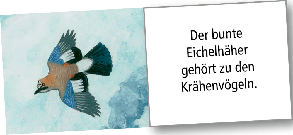 Adventskalender Coppenrath Verlag Wintertiere bei Nacht, Wand-Adventskalender