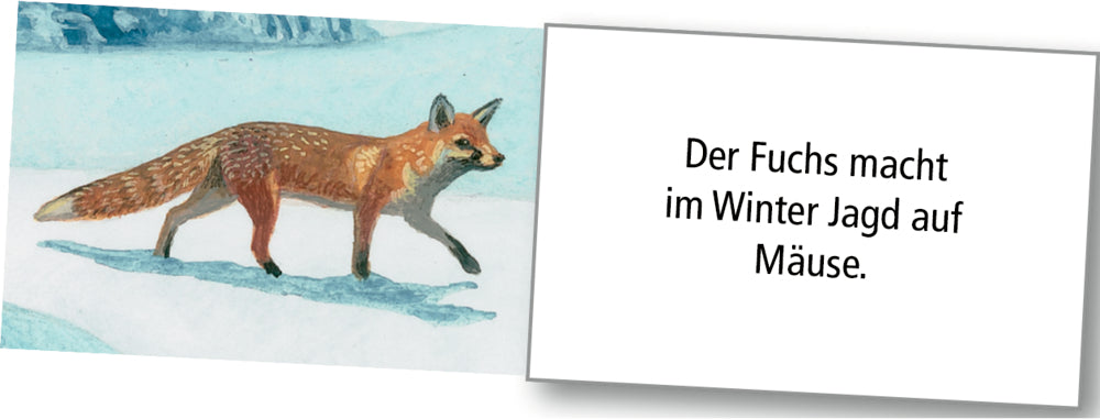 Adventskalender Coppenrath Verlag Wintertiere bei Nacht, Wand-Adventskalender