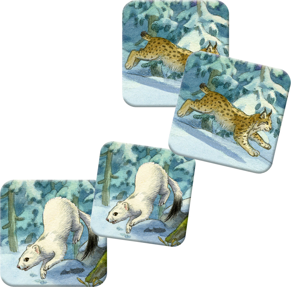 Adventskalender Coppenrath Verlag Die Tiere im Winterwald, Memo-Adventskalender
