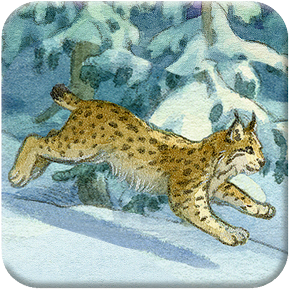Adventskalender Coppenrath Verlag Die Tiere im Winterwald, Memo-Adventskalender