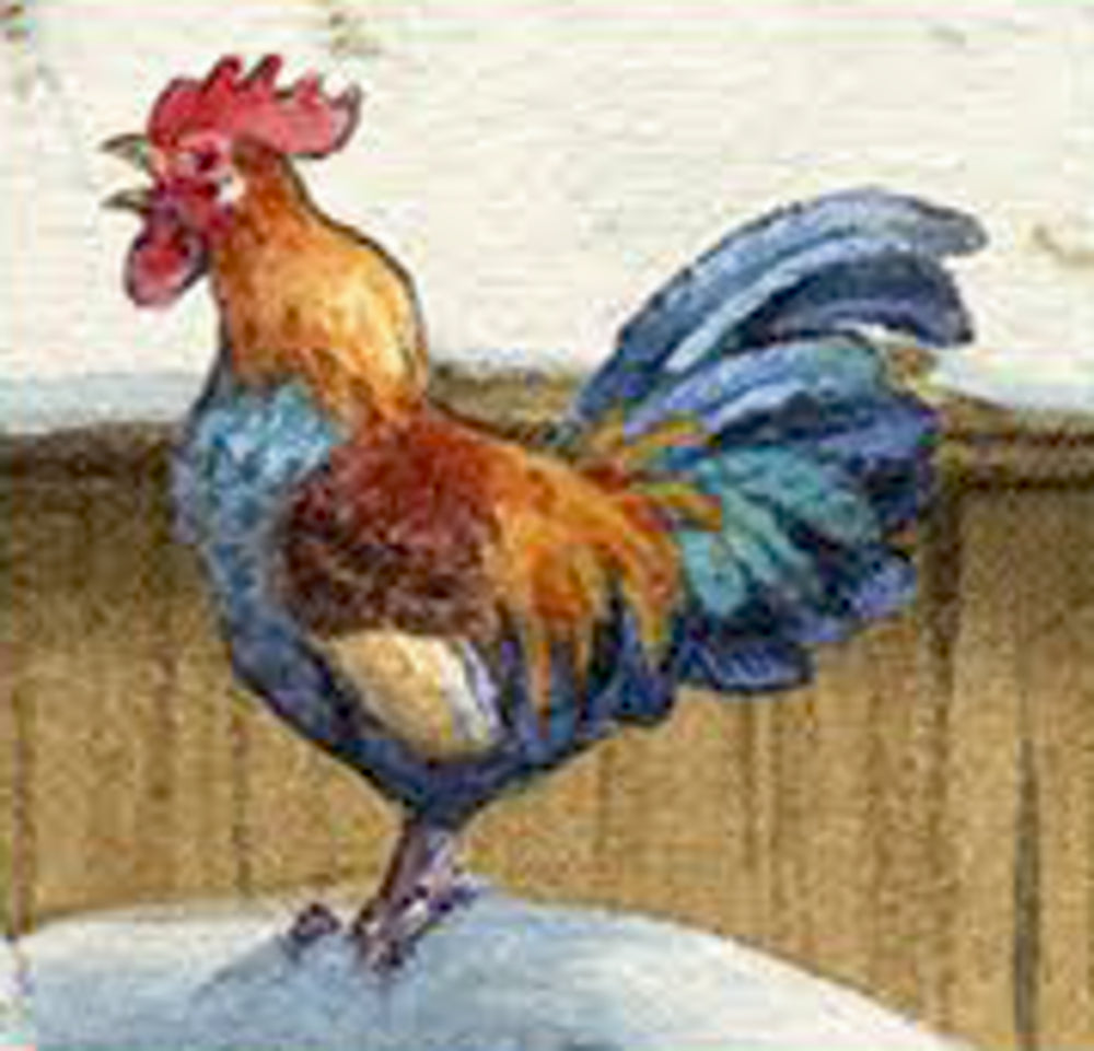 Adventskalender Coppenrath Verlag Unsere Tiere auf dem Land, Sound-Adventskalender